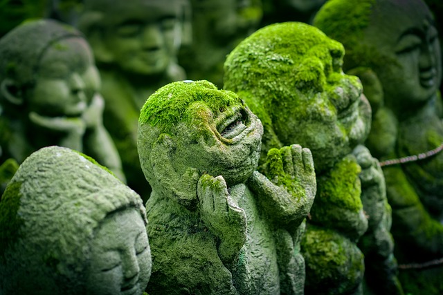 Kyoto, Japón